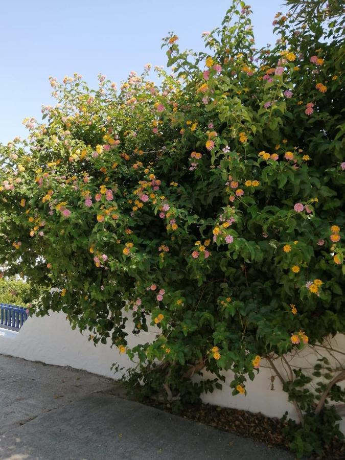 Apartmán Pontoria Stegna Archangelos (Rhodes)