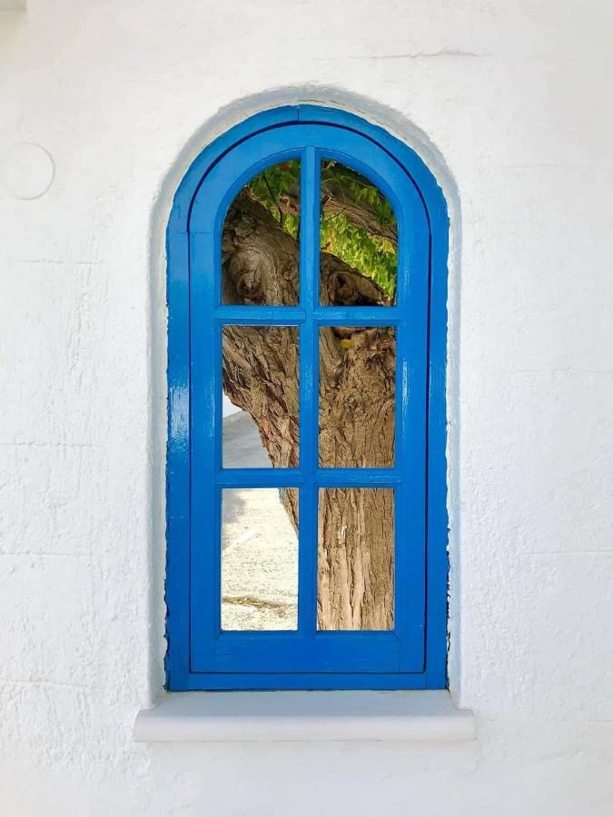 Apartmán Pontoria Stegna