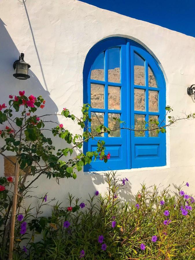 Pontoria Stegna Apartment Archangelos (Rhodes)